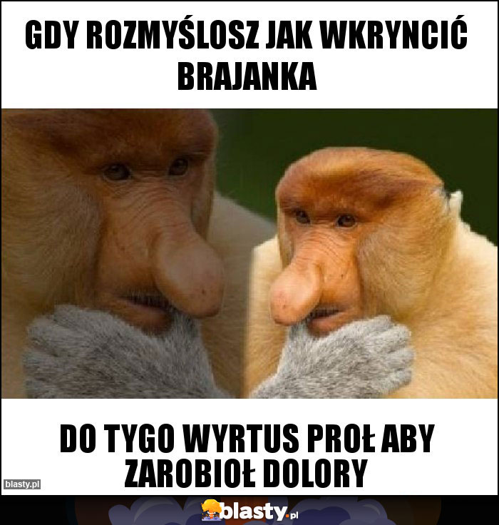 Gdy rozmyślosz jak wkryncić brajanka