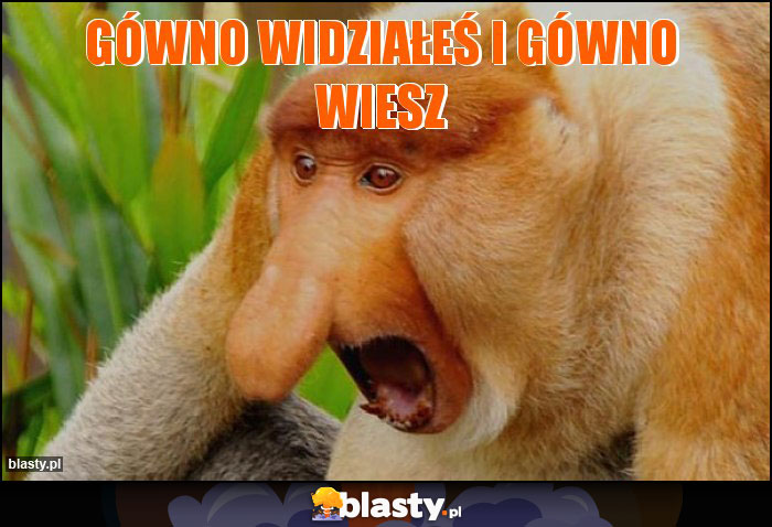 Gówno widziałeś i gówno wiesz