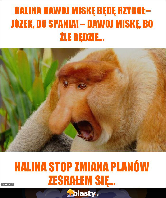 Halina dawoj miskę będę rzygoł– Józek, do spania! – Dawoj miskę, bo źle będzie…