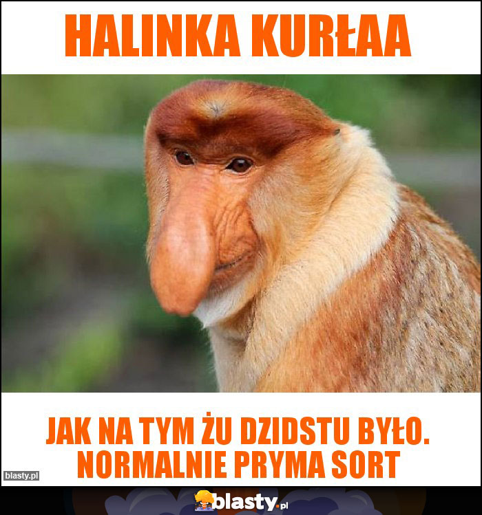 Halinka kurłaa