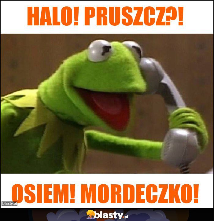Halo! Pruszcz?!