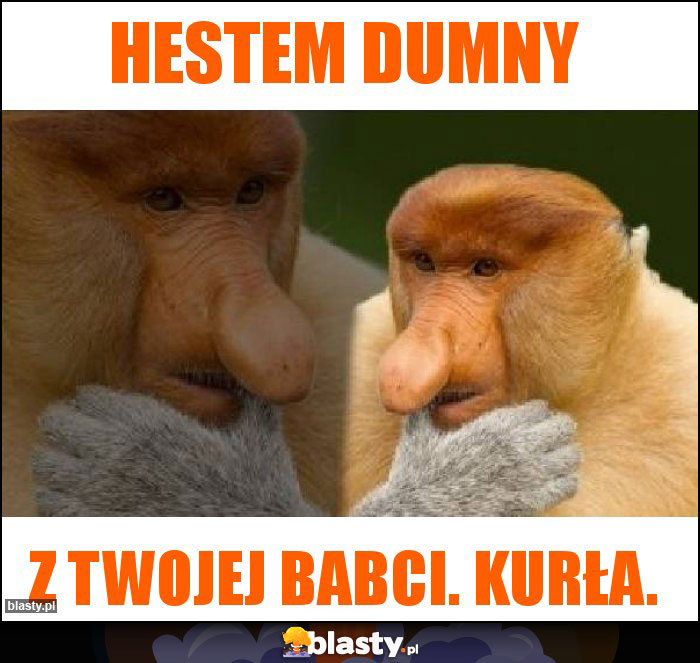 Hestem dumny