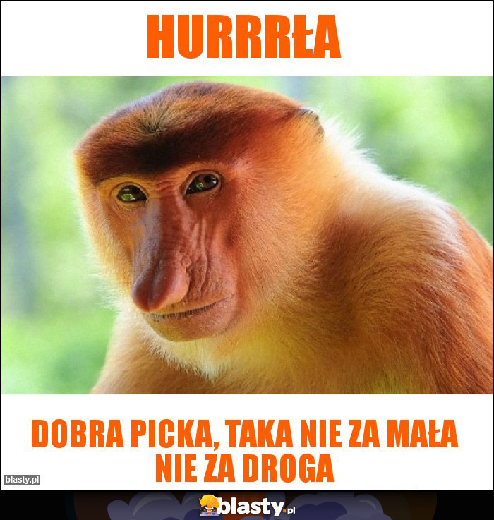Hurrrła