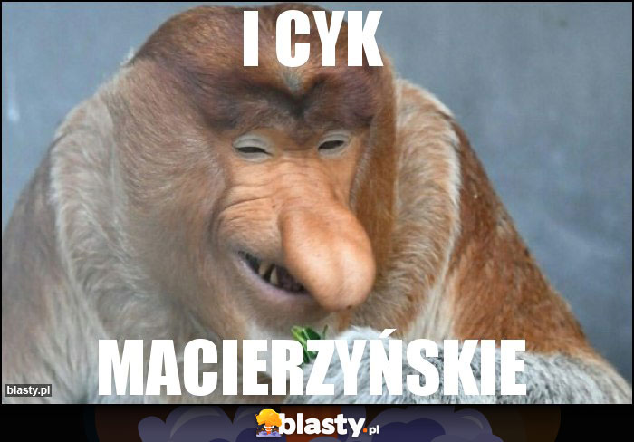 I cyk