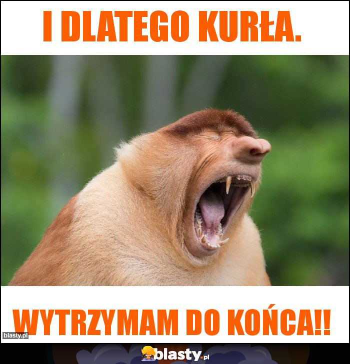 I dlatego kurła.
