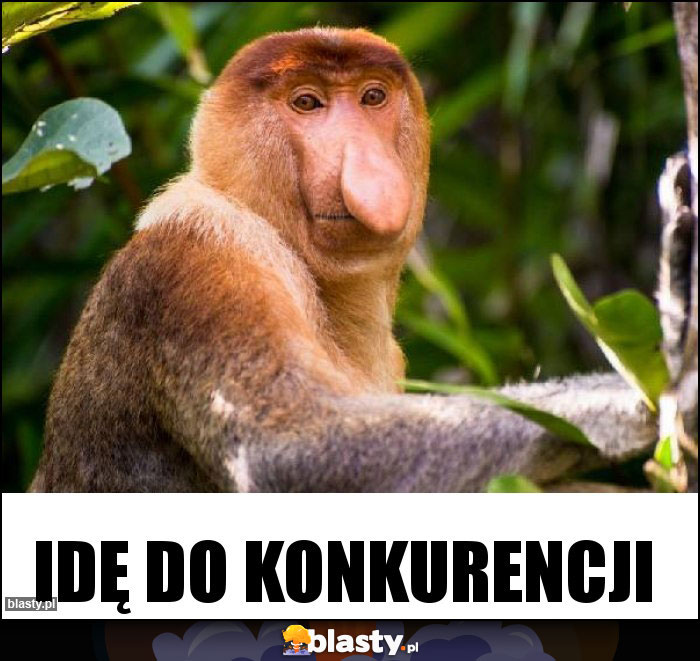 Idę do konkurencji