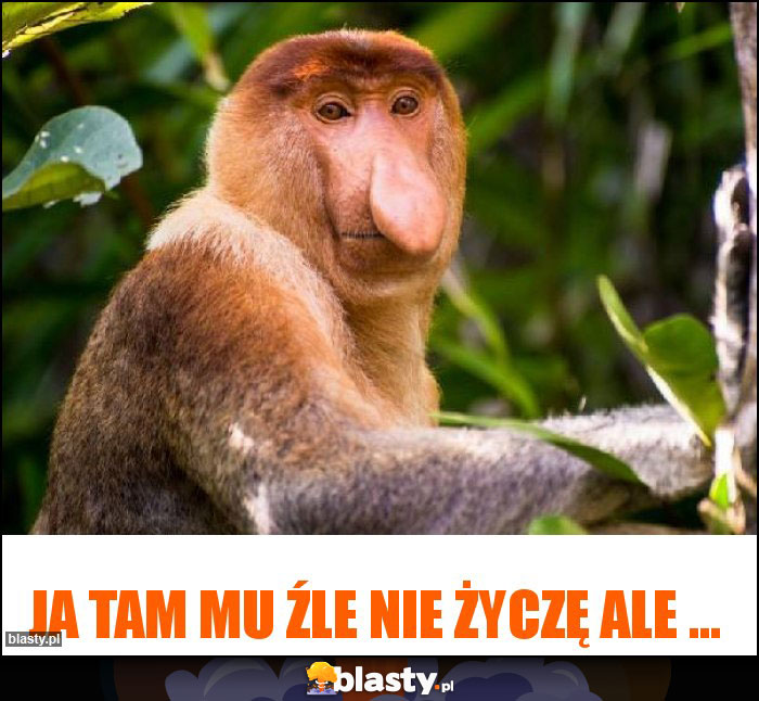 ja tam mu źle nie życzę ale ...