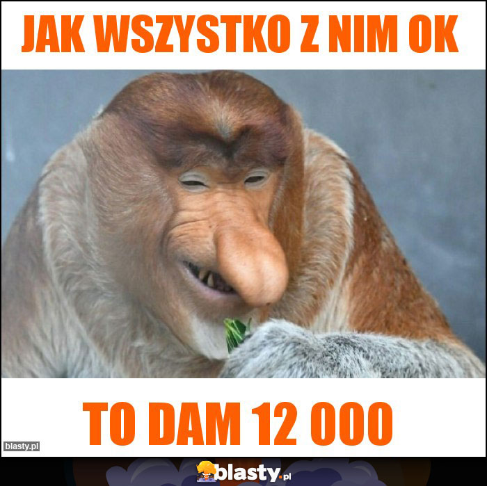 Jak wszystko z nim ok
