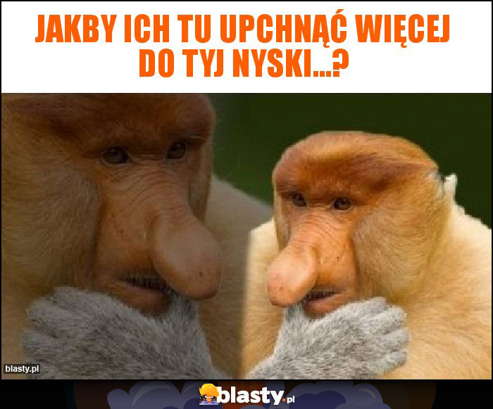 Jakby ich tu upchnąć więcej do tyj nyski...?