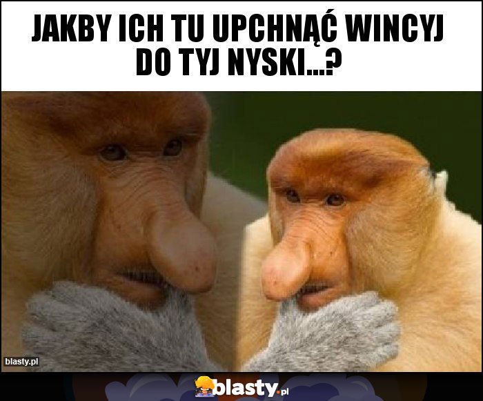 Jakby ich tu upchnąć wincyj do tyj nyski...?