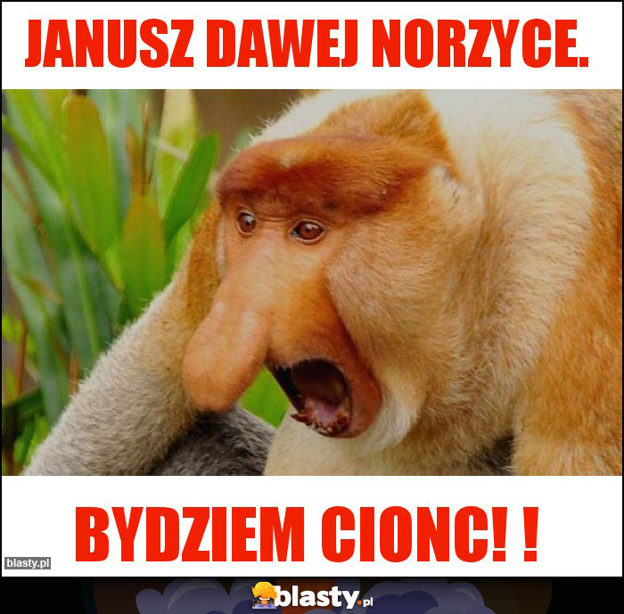 Janusz dawej norzyce.