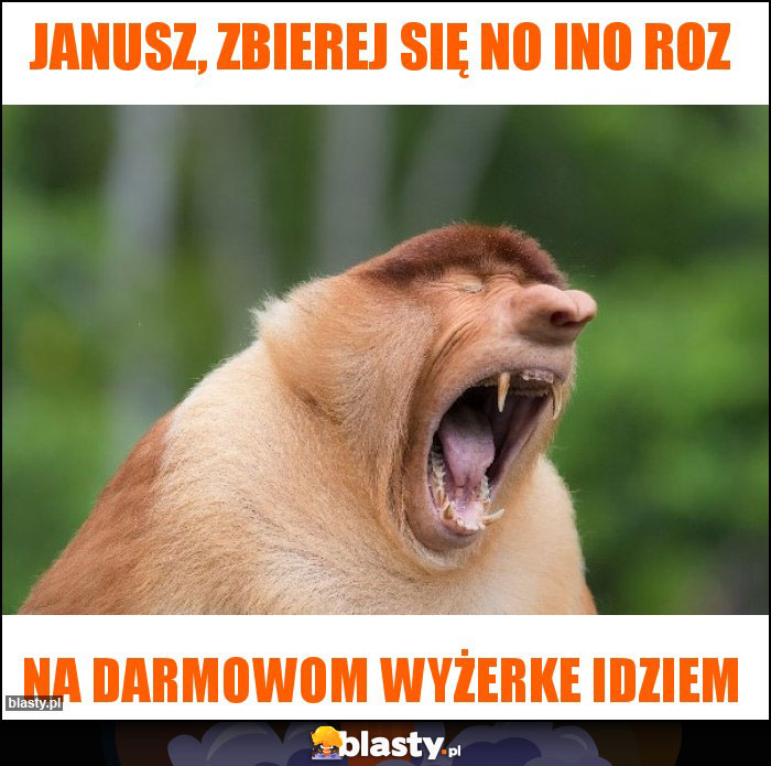 Janusz, zbierej się no ino roz