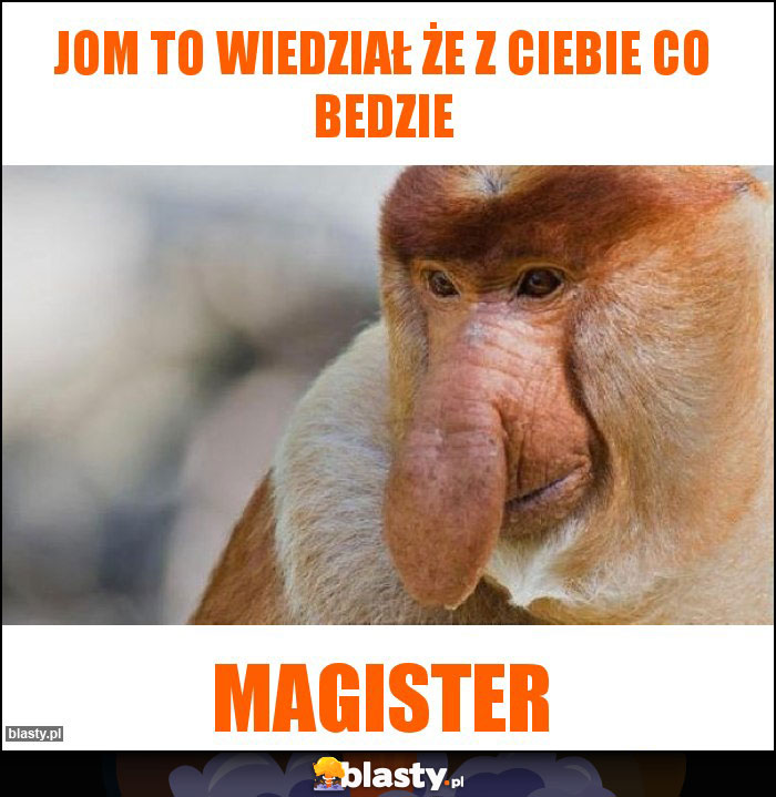 Jom to wiedział że z Ciebie co bedzie