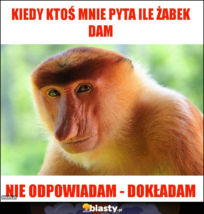 Kiedy ktoś mnie pyta Ile żabek dam