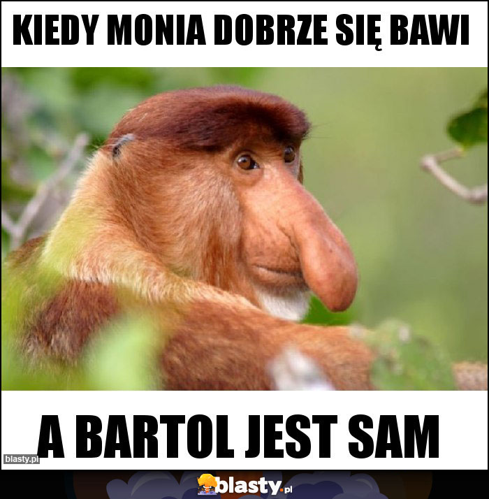 Kiedy Monia dobrze się bawi