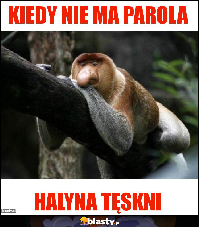 Kiedy nie ma parola