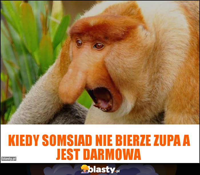 kiedy somsiad nie bierze zupa a jest darmowa
