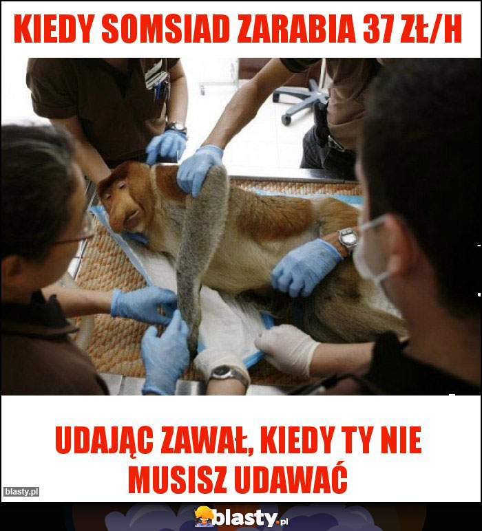 KIEDY SOMSIAD ZARABIA 37 ZŁ/H