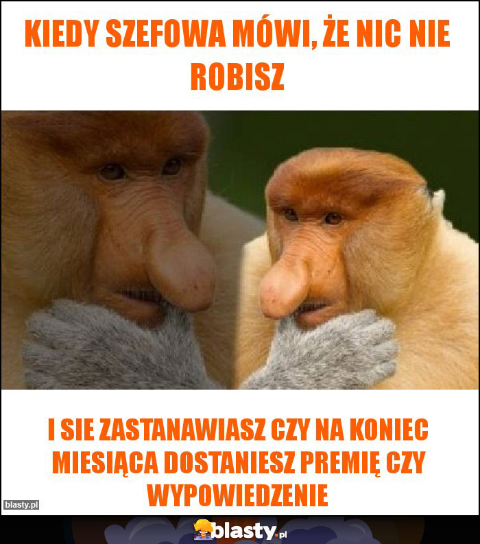 Kiedy szefowa mówi, że nic nie robisz