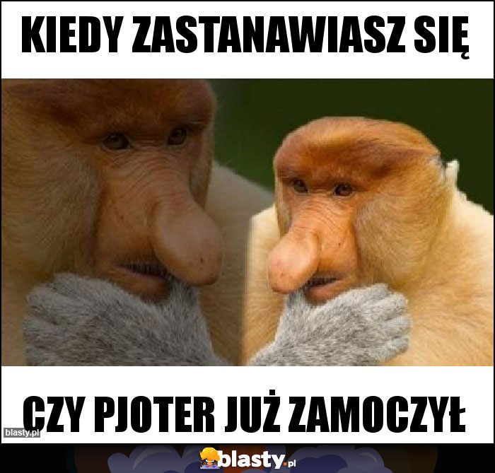 Kiedy zastanawiasz się