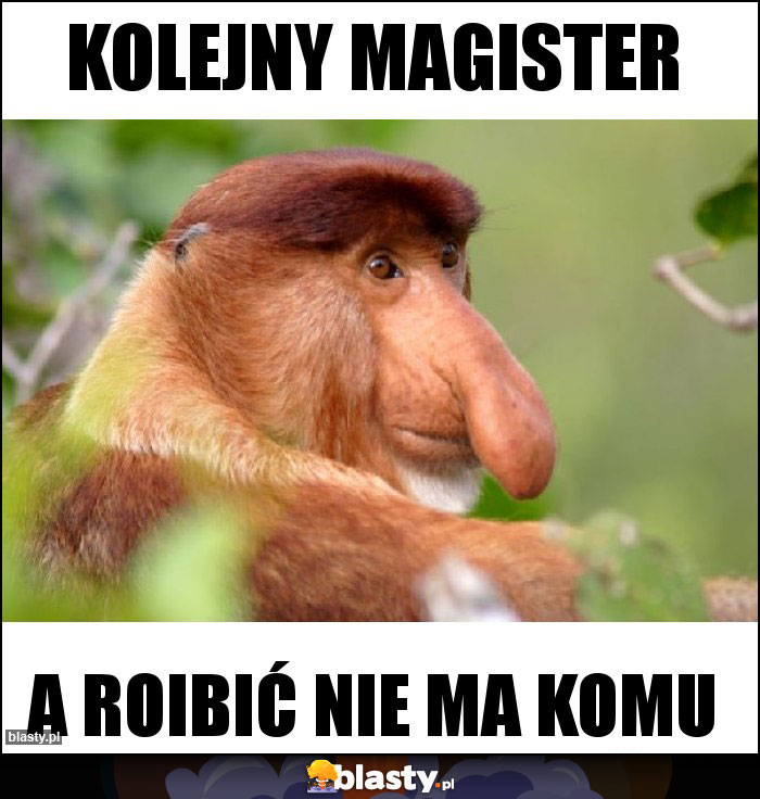 Kolejny magister