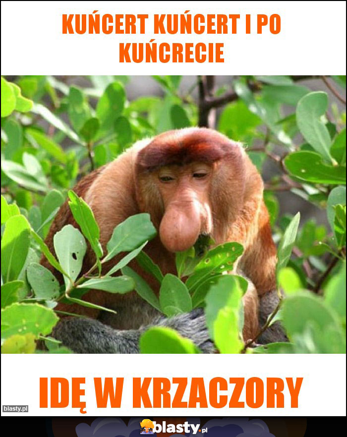 Kuńcert kuńcert i po kuńcrecie