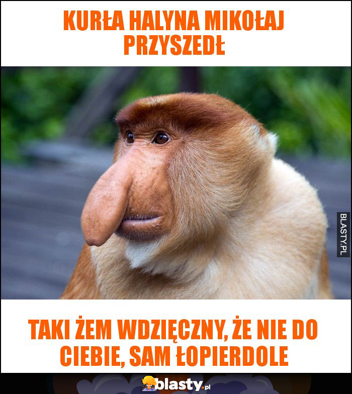 KURŁA HALYNA MIKOŁAJ PRZYSZEDŁ