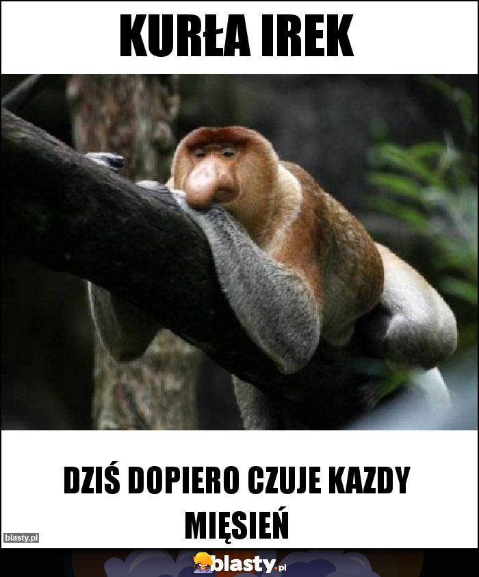 Kurła Irek