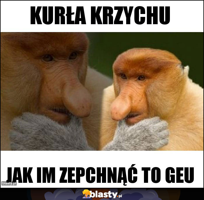 Kurła Krzychu