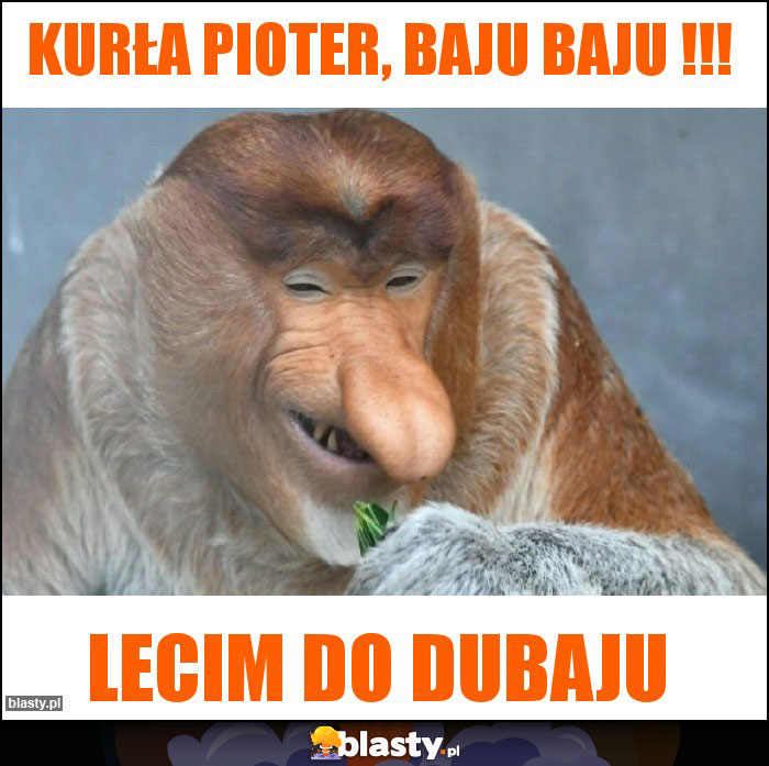 Kurła Pioter, baju baju !!!