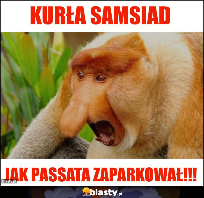 Kurła samsiad
