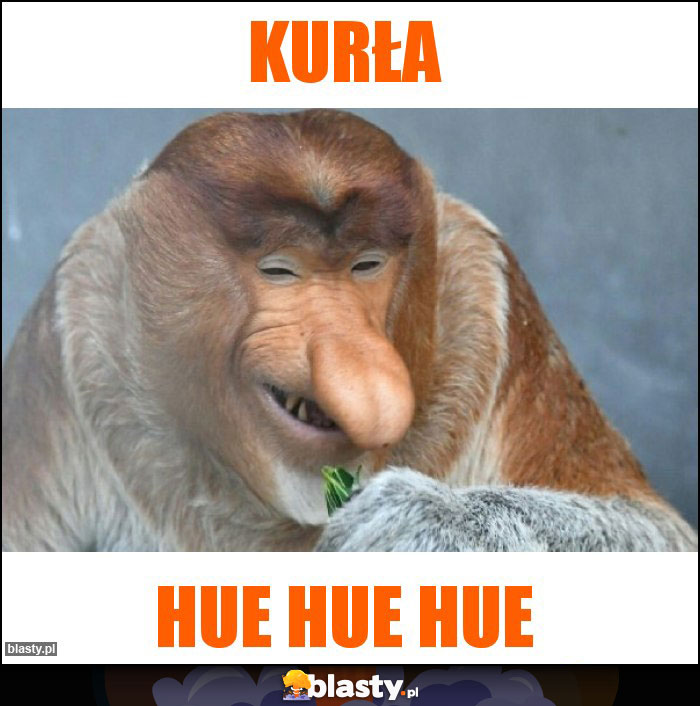 Kurła