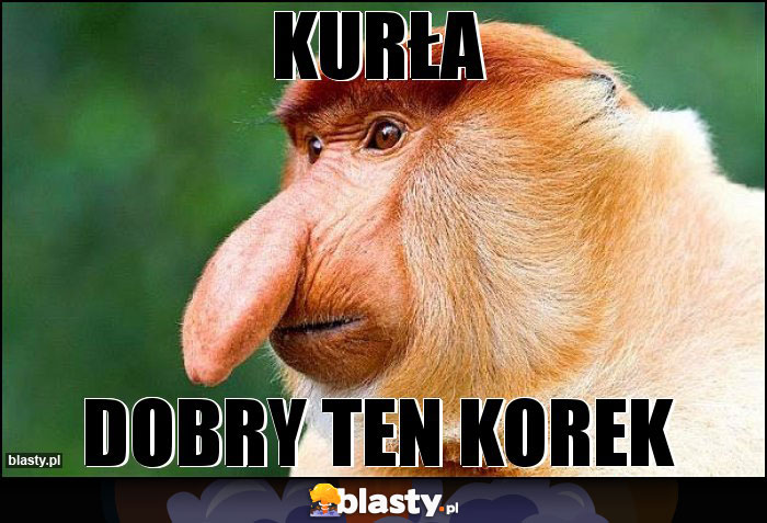 Kurła