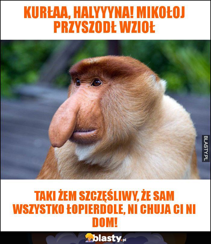 KURŁAA, HALYYYNA! MIKOŁOJ PRZYSZODŁ WZIOŁ