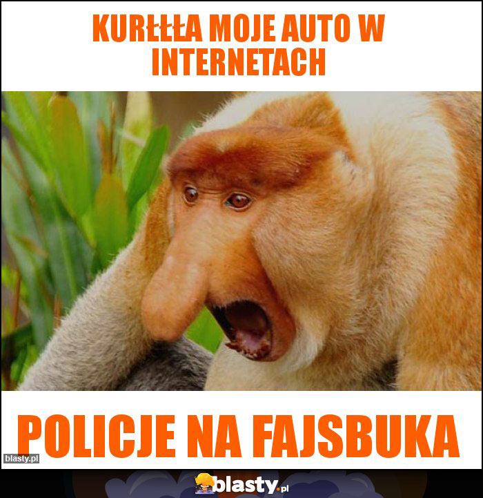 KURŁŁŁA Moje auto w internetach