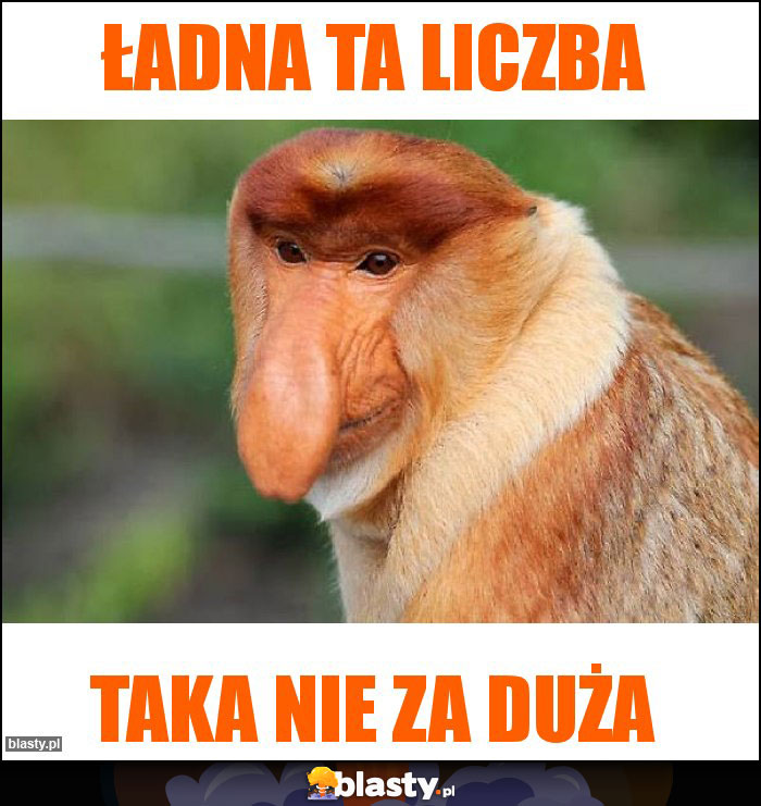 Ładna ta liczba