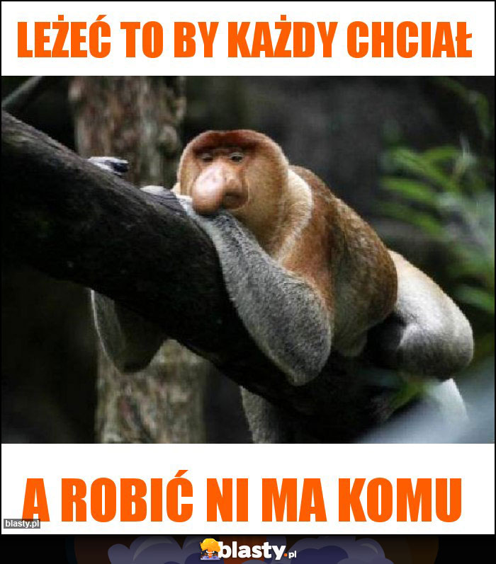 Leżeć to by każdy chciał