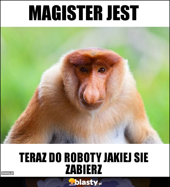Magister jest