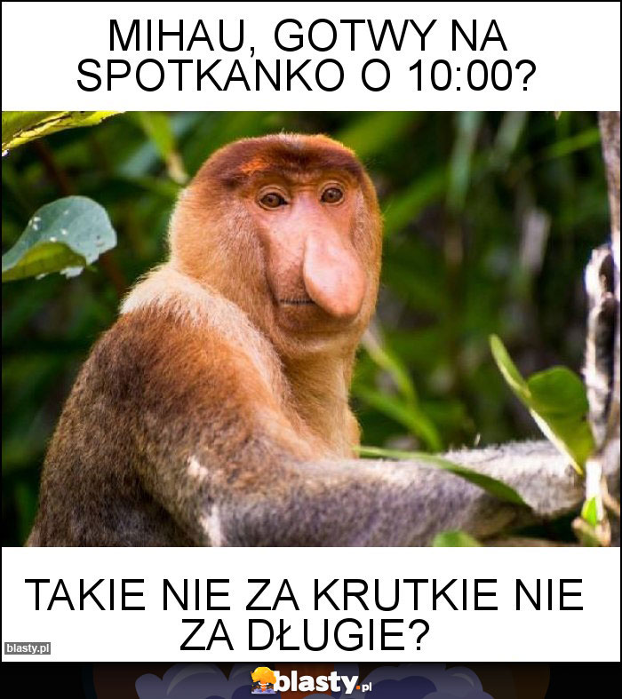 Mihau, gotwy na spotkanko o 10:00?