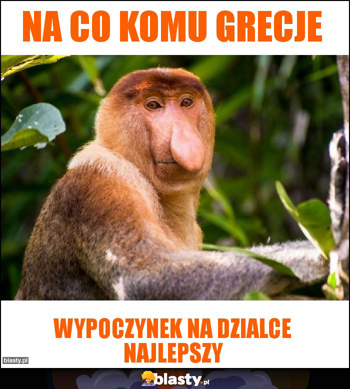 Na co komu Grecje