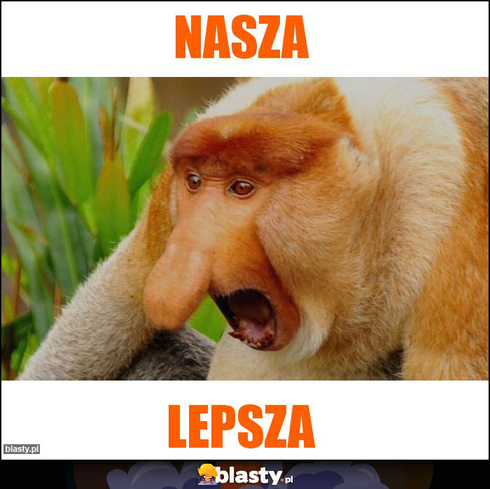 NASZA
