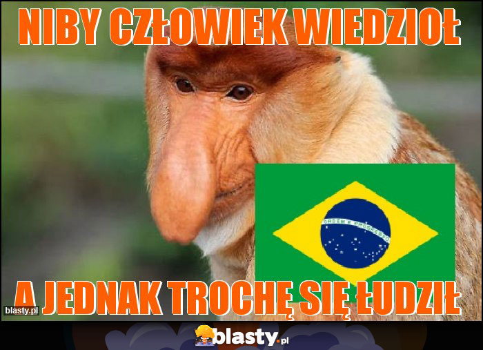 NIBY CZŁOWIEK WIEDZIOŁ