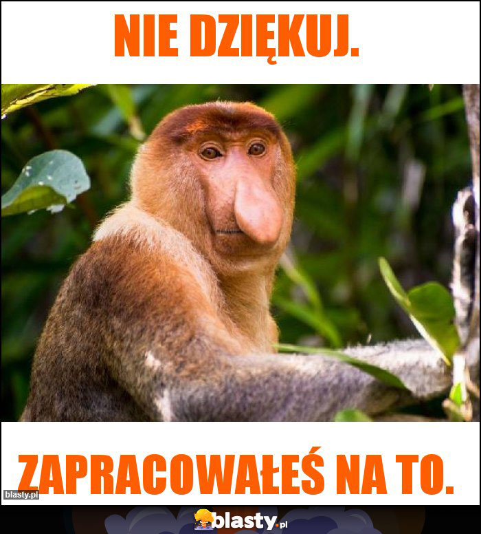Nie dziękuj.