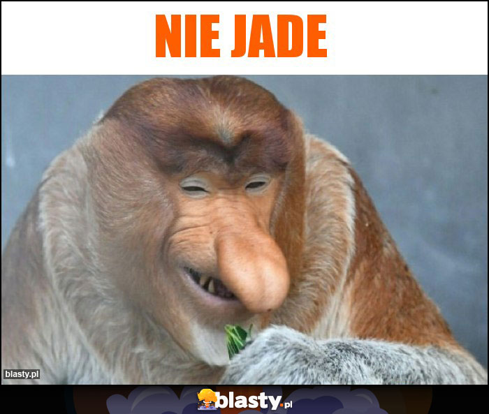 Nie jade