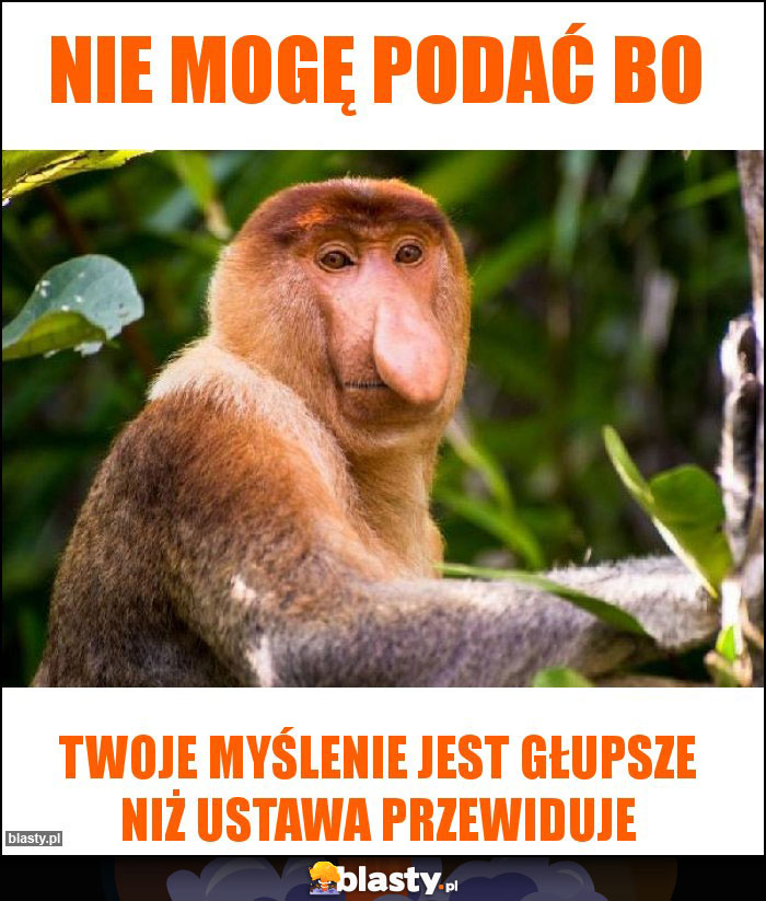 Nie mogę podać bo