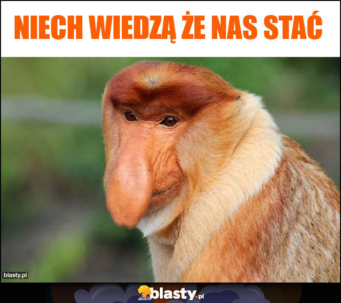 Niech wiedzą że nas stać
