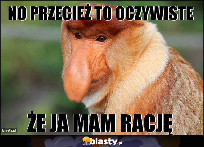 No przecież to oczywiste