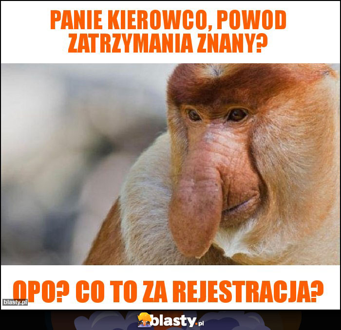 Panie kierowco, powod zatrzymania znany?