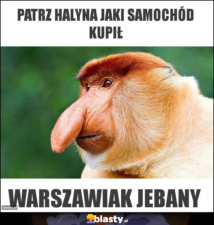 patrz halyna jaki samochód kupił