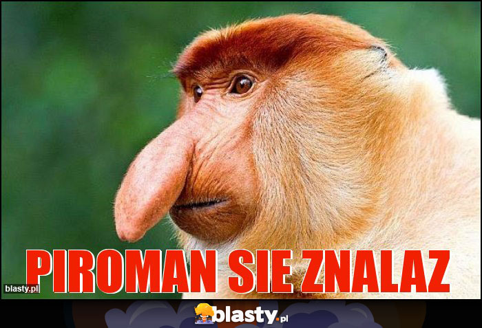 Piroman sie znalaz
